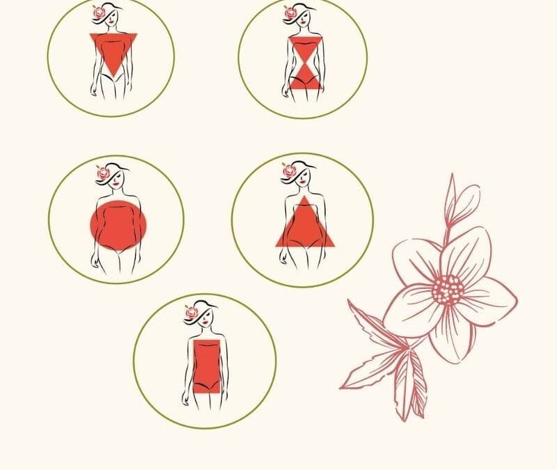 ¿Qué aprendí de las Tipologías Corporales?🌹🌹🌹