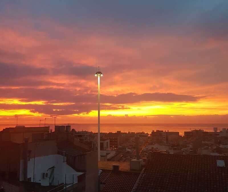 ayme rosas patrones tienda