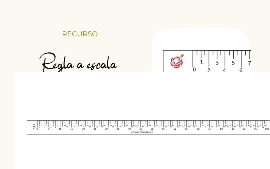 Regla Escala 1:2